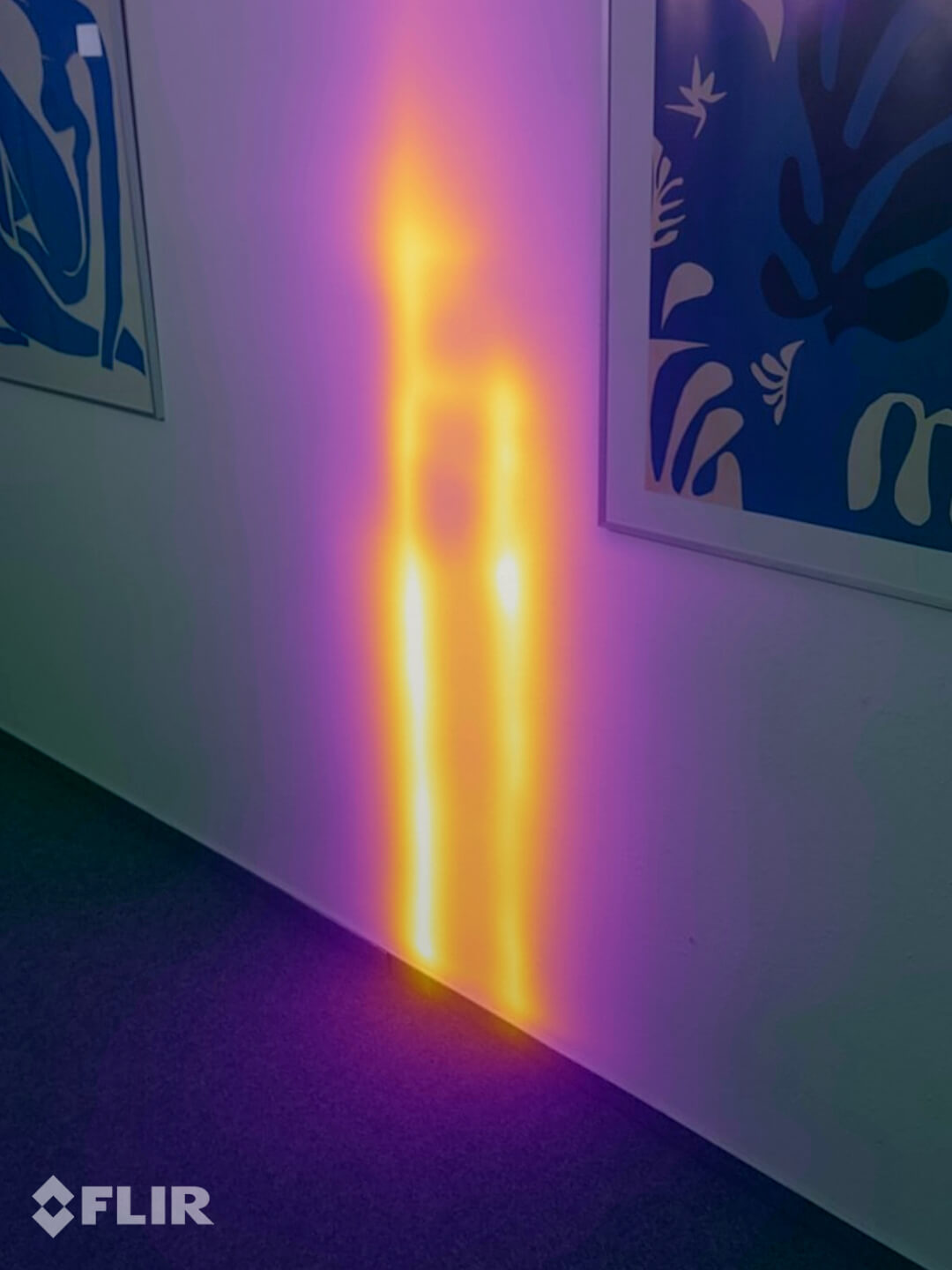 flir_20210728T130051